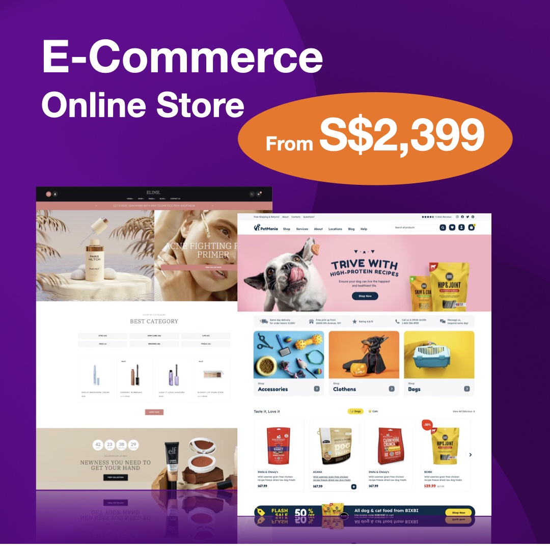 E-Commerce Online Store Package and Pricing